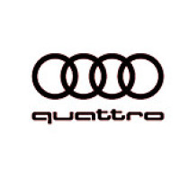 audi3